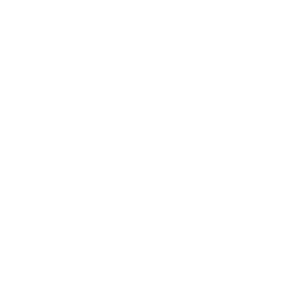Icon WLAN